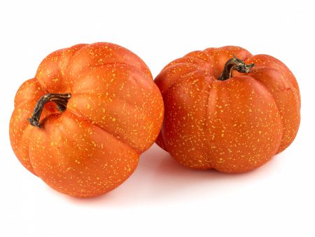 6  Artificial Pumpkins: Orange (Set of 2) For Cheap