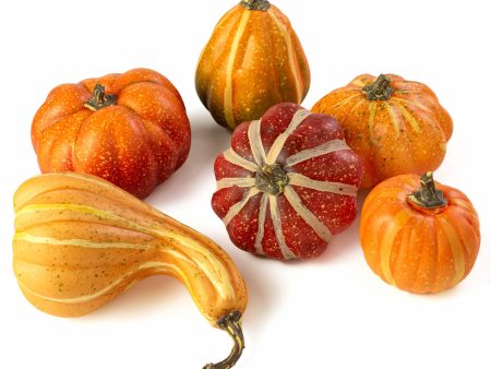 Assorted Artificial Pumpkins & Gourds: Orange & Yellow (Bag of 6) Hot on Sale