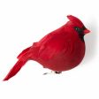 7  Chubby Feathered Cardinal with Clip Ornament Online