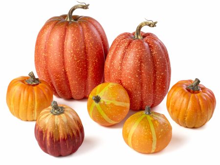 Assorted Artificial Pumpkins & Gourds: Orange & Yellow (Bag of 7) Online Hot Sale