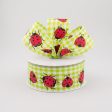 1.5  Gingham Ladybugs Ribbon: Lime Green & White (10 Yards) Online now