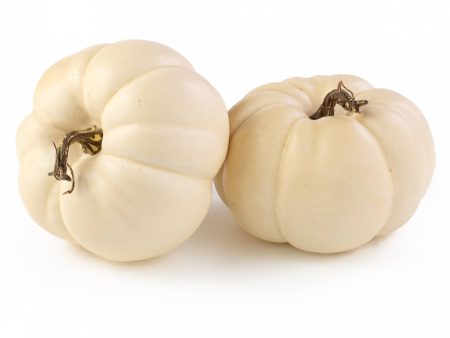 6  Artificial Pumpkins: Cream   White (Set of 2) Online Hot Sale