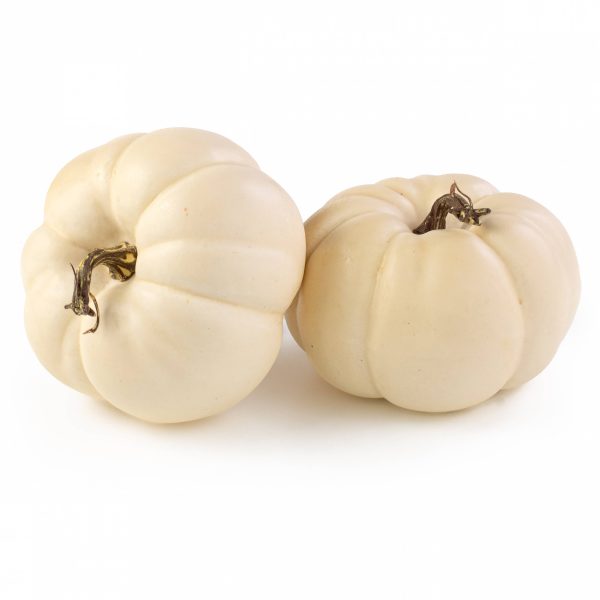 6  Artificial Pumpkins: Cream   White (Set of 2) Online Hot Sale