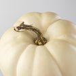 6  Artificial Pumpkins: Cream   White (Set of 2) Online Hot Sale