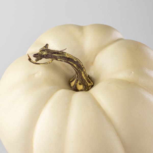 6  Artificial Pumpkins: Cream   White (Set of 2) Online Hot Sale