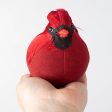 7  Chubby Feathered Cardinal with Clip Ornament Online