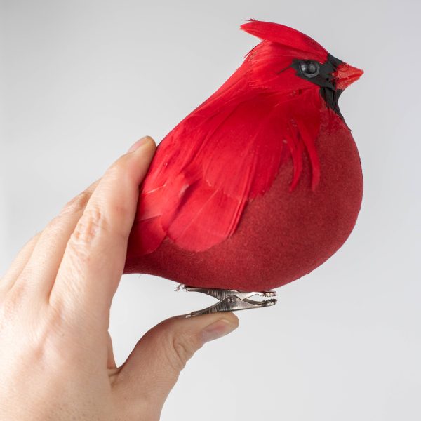 7  Chubby Feathered Cardinal with Clip Ornament Online