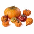 Assorted Artificial Pumpkins & Gourds: Orange & Yellow (Bag of 8) Fashion