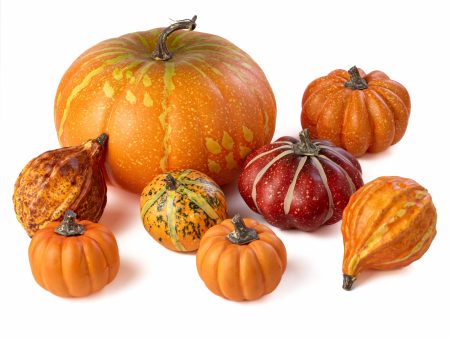 Assorted Artificial Pumpkins & Gourds: Orange & Yellow (Bag of 8) Fashion