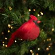 7  Chubby Feathered Cardinal with Clip Ornament Online