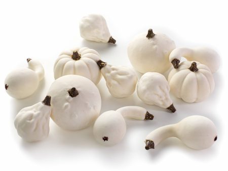 Assorted Mini Artificial Pumpkins & Gourds: White   Cream (Bag of 12) For Sale