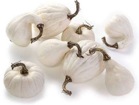 Assorted Medium Artificial Pumpkins & Gourds: White   Cream (Bag of 8) Hot on Sale