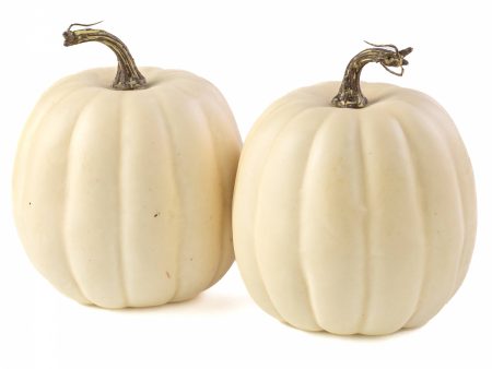 6.5  Artificial Pumpkins: Cream   White (Set of 2) Hot on Sale