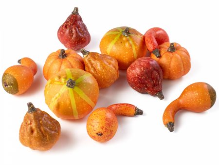 Assorted Mini Artificial Pumpkins & Gourds: Orange & Yellow (Bag of 12) Online