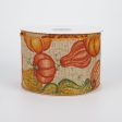 2.5  Fall Pumpkins & Gourds Ribbon: Natural (10 Yards) Cheap