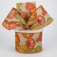 2.5  Fall Pumpkins & Gourds Ribbon: Natural (10 Yards) Cheap