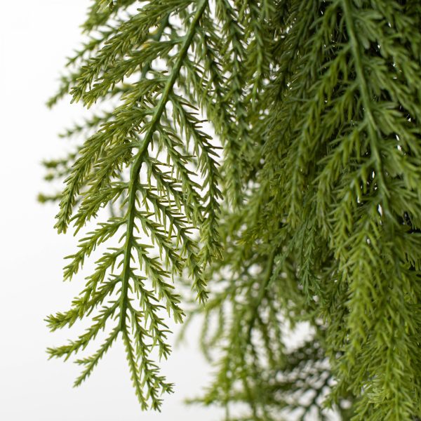 24  Fern Pine Teardrop: Green For Sale