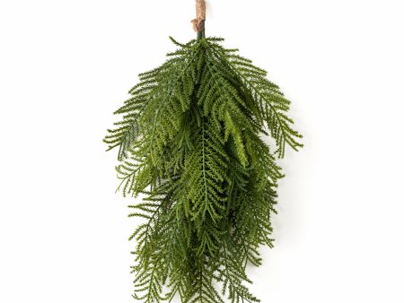 24  Fern Pine Teardrop: Green For Sale